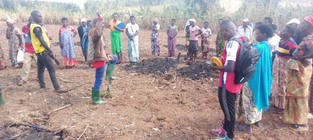 IFDC et UCODE-AMR renforcent le secteur semencier burundais – Saison A 2026 IFDC et UCODE-AMR renforcent le secteur semencier burundais – Saison A 2026