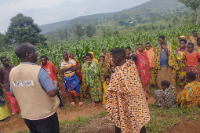 PRODECI–Turikumwe : UCODE-AMR et FODEV œuvrent pour l’autonomisation des communautés Batwa par l’agriculture et l’élevage PRODECI–Turikumwe : UCODE-AMR et FODEV œuvrent pour l’autonomisation des communautés Batwa par l’agriculture et l’élevage